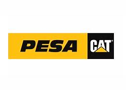 Pesa cat
